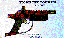 FX Micro1.jpg (96316 bytes)